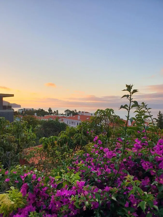 Guesthouse Vila Lusitania Funchal  Funchal (Madeira)